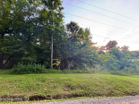 Photo of Wintergreen Lane, Cosby, TN 37722 (MLS # 1354028)