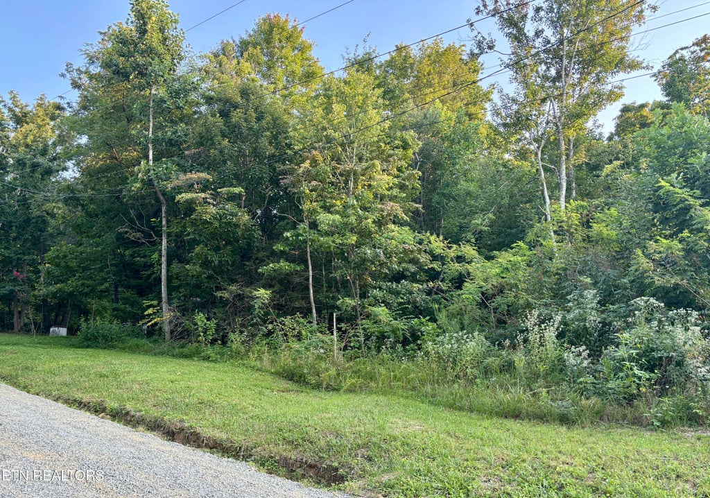 Photo of Wintergreen Lane, Cosby, TN 37722 (MLS # 1354028)