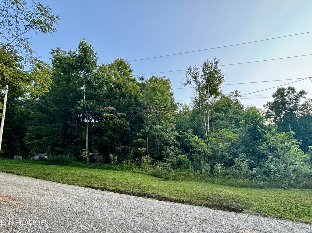 Photo of Wintergreen Lane, Cosby, TN 37722 (MLS # 1354028)