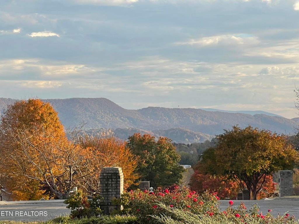 Photo of 101 Ostenbarker St, Maryville, TN 37804 (MLS # 1333891)