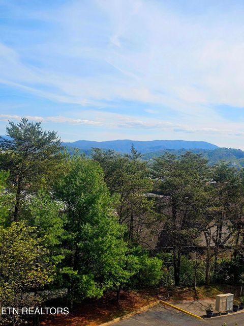 Tiny photo for 124 Plaza Drive #2407, Pigeon Forge, TN 37863 (MLS # 1337221)