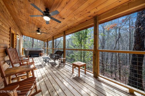 Tiny photo for 225 Amet Way, Cosby, TN 37722 (MLS # 1328505)