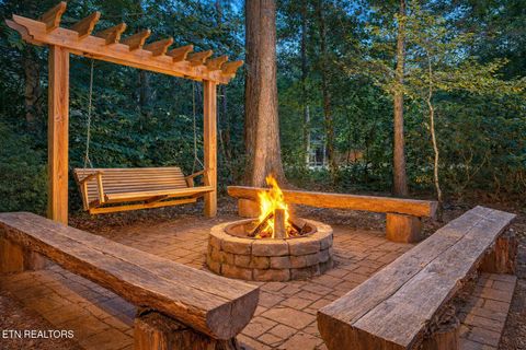 Tiny photo for 225 Amet Way, Cosby, TN 37722 (MLS # 1328505)