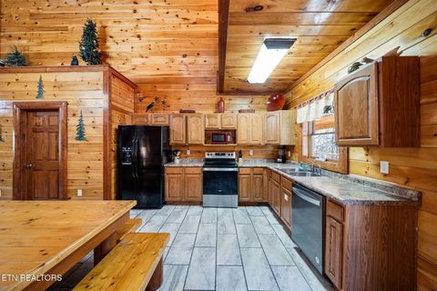 Tiny photo for 225 Amet Way, Cosby, TN 37722 (MLS # 1328505)