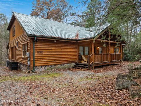 Tiny photo for 225 Amet Way, Cosby, TN 37722 (MLS # 1328505)