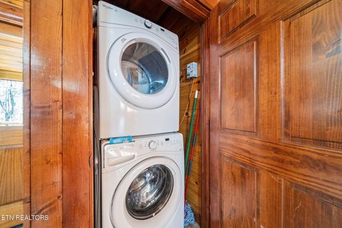 Tiny photo for 225 Amet Way, Cosby, TN 37722 (MLS # 1328505)