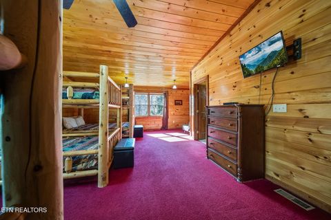 Tiny photo for 225 Amet Way, Cosby, TN 37722 (MLS # 1328505)