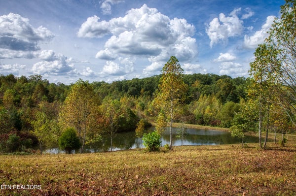 LOT 23 OLD MOUNT HELEN RD, ALLARDT, TN 38504 - Image 7f492dcbfbe00c5bf23013ca6ab39e4f/1303477512