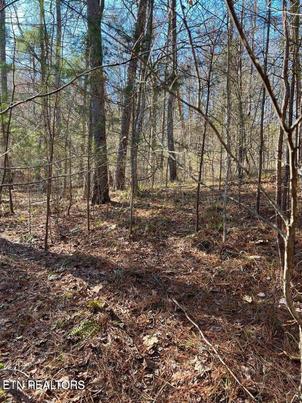 Photo of 157 Laurel Lake Circle, Madisonville, TN 37354 (MLS # 1290893)