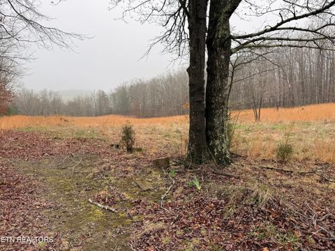 Tiny photo for 133 Stone Ridge Circle, Grandview, TN 37337 (MLS # 1332132)