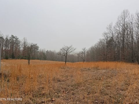 Tiny photo for 133 Stone Ridge Circle, Grandview, TN 37337 (MLS # 1332132)