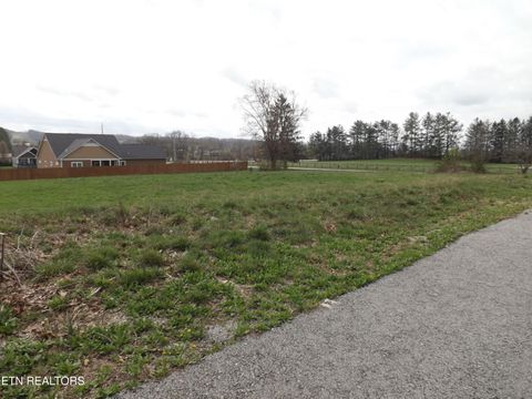 Photo of 112 AUGGIE BELLE Lane, Speedwell, TN 37870 (MLS # 1332108)