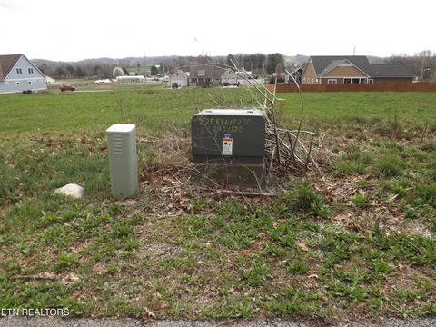 Tiny photo for 112 AUGGIE BELLE Lane, Speedwell, TN 37870 (MLS # 1332108)