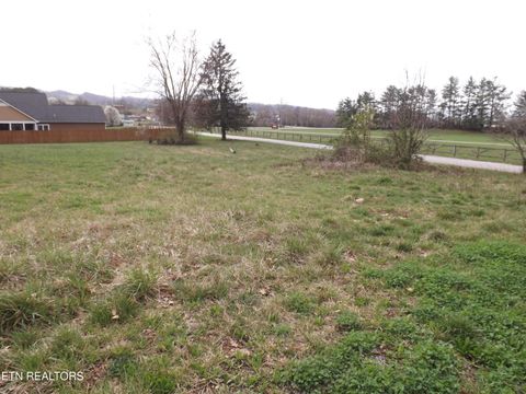 Tiny photo for 112 AUGGIE BELLE Lane, Speedwell, TN 37870 (MLS # 1332108)