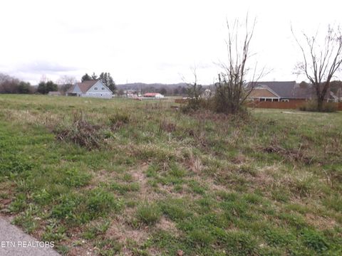 Tiny photo for 112 AUGGIE BELLE Lane, Speedwell, TN 37870 (MLS # 1332108)