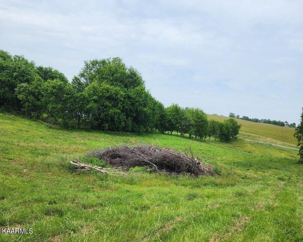 Photo of Brethren Church Road Rd, White Pine, TN 37890 (MLS # 1227944)