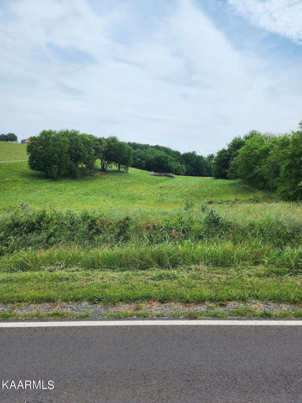 Photo of Brethren Church Road Rd, White Pine, TN 37890 (MLS # 1227944)