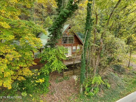 Photo of 1740 Cherohala Skyway Skwy, Tellico Plains, TN 37385 (MLS # 1323639)