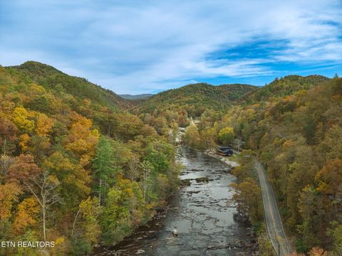 Tiny photo for 1740 Cherohala Skyway Skwy, Tellico Plains, TN 37385 (MLS # 1323639)