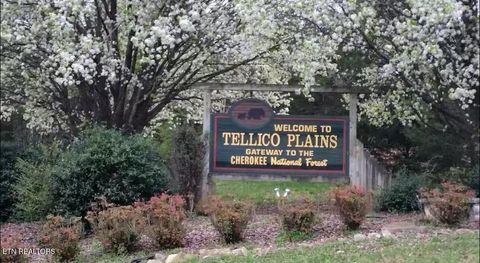 Tiny photo for 1740 Cherohala Skyway Skwy, Tellico Plains, TN 37385 (MLS # 1323639)