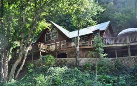 Tiny photo for 1740 Cherohala Skyway Skwy, Tellico Plains, TN 37385 (MLS # 1323639)