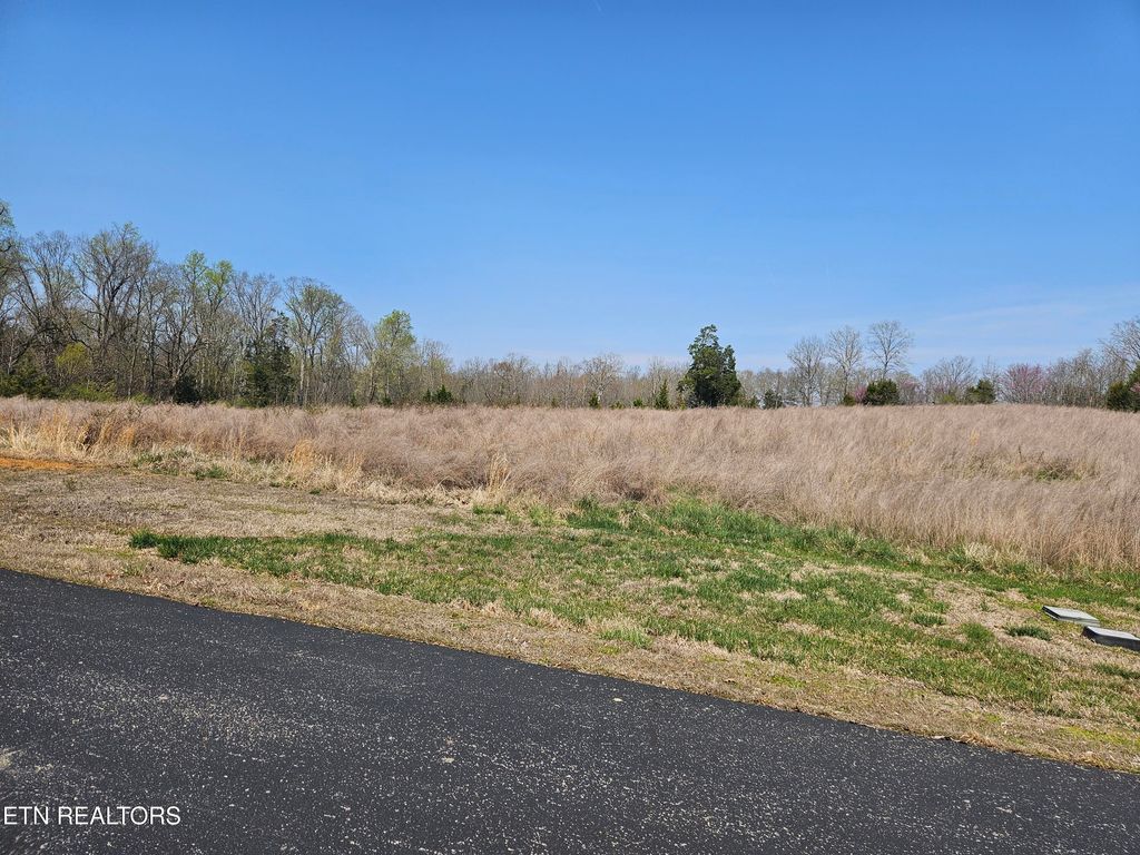 Photo of 75 E Shore Drive, Rockwood, TN 37854 (MLS # 1334796)