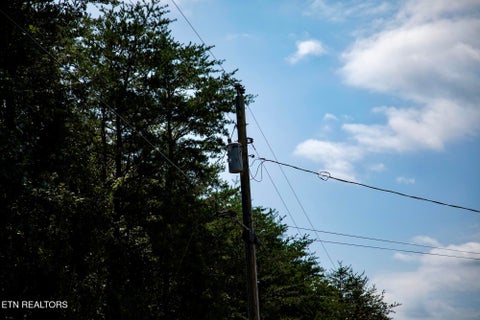 Tiny photo for 160 John Cox Rd, Deer Lodge, TN 37726 (MLS # 1356253)
