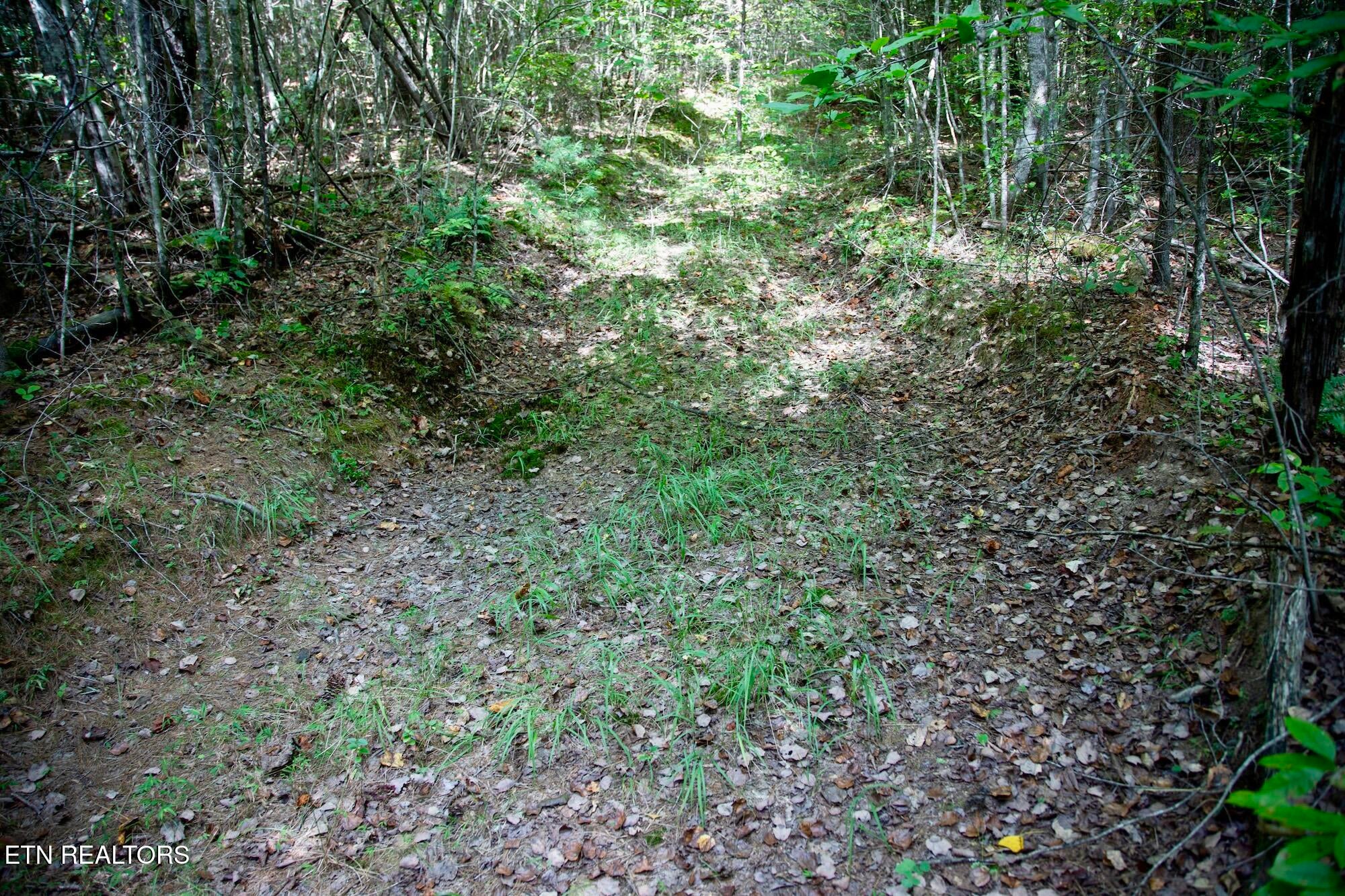 160 John Cox Rd