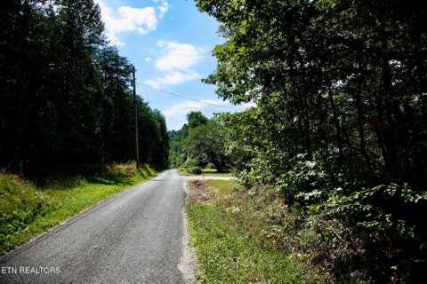 Tiny photo for 160 John Cox Rd, Deer Lodge, TN 37726 (MLS # 1356253)