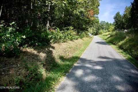 Tiny photo for 160 John Cox Rd, Deer Lodge, TN 37726 (MLS # 1356253)