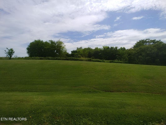 GREEN VALLEY RD, NEWPORT, TN 37821 - Image 7f734b539c9d32fdee7f3a490f8134bc/3988947865