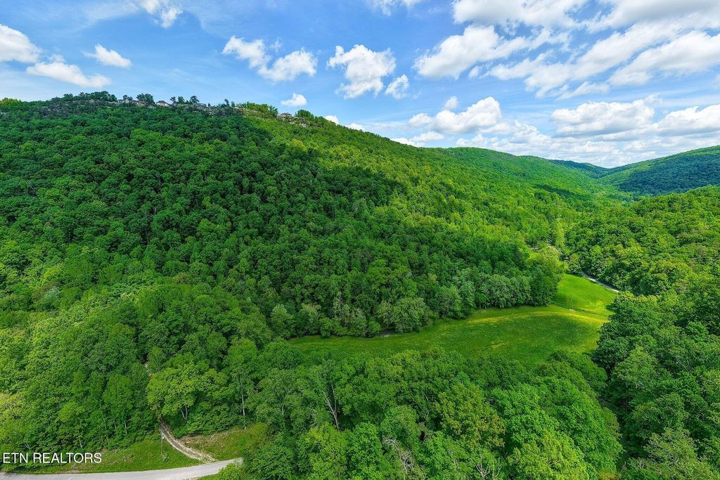 Photo of 8450 Old Highway 28, Pikeville, TN 37367 (MLS # 1334897)