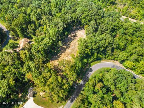 Photo of 164 E Shore Drive, Rockwood, TN 37854 (MLS # 1331000)