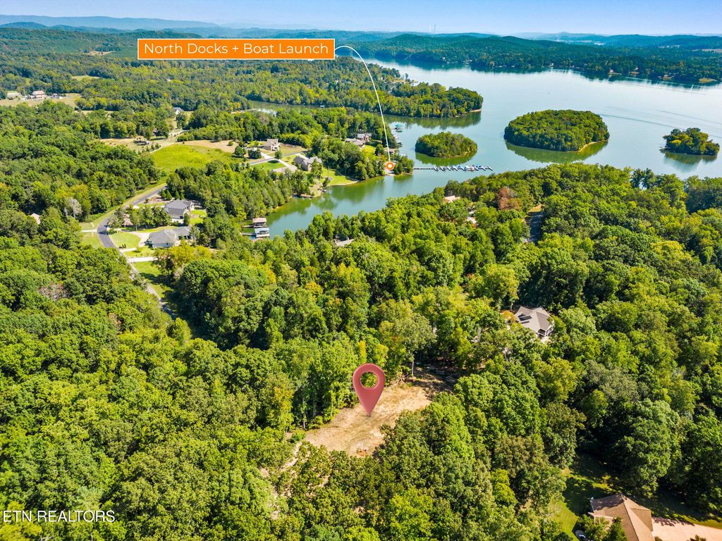 Photo of 164 E Shore Drive, Rockwood, TN 37854 (MLS # 1331000)