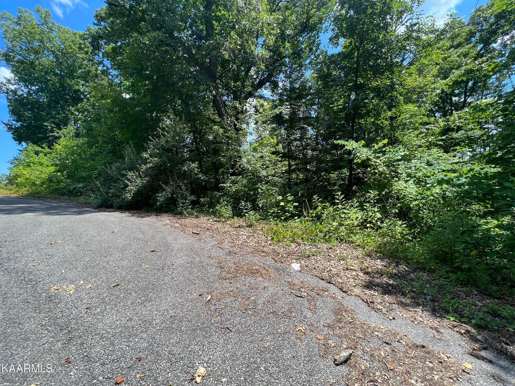 Photo of 37 Pinnacle Lane, LaFollette, TN 37766 (MLS # 1197212)