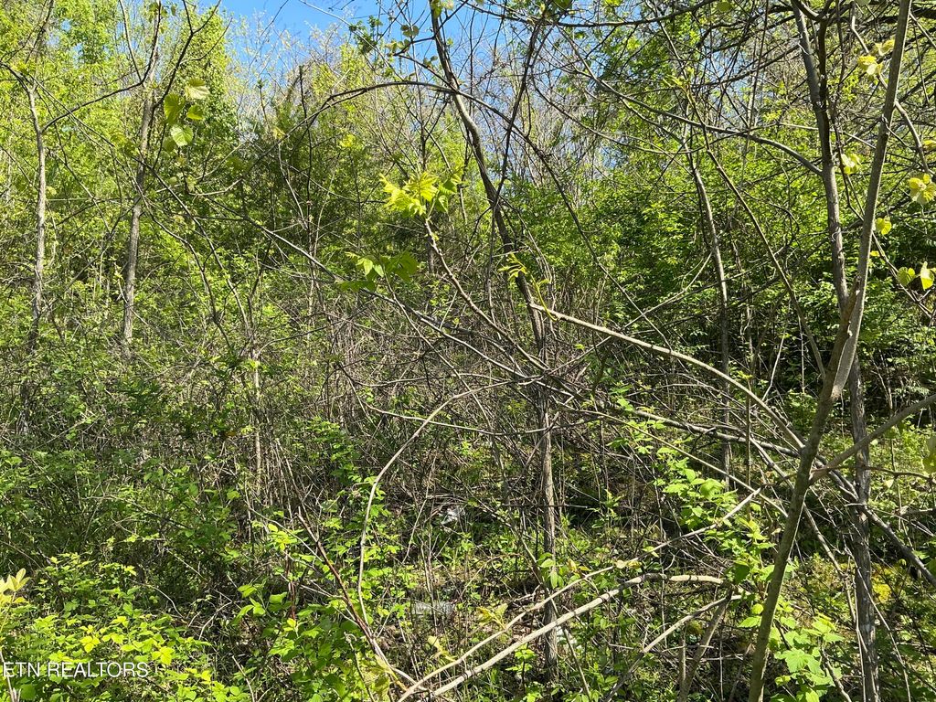 Photo of Longmire Rd, Clinton, TN 37716 (MLS # 1296589)