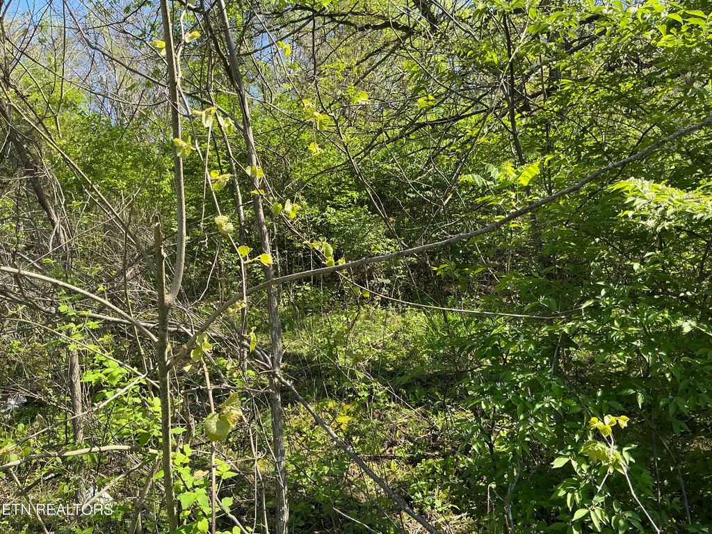 Photo of Longmire Rd, Clinton, TN 37716 (MLS # 1296589)