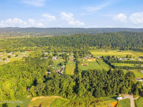 Tiny photo for 4634 Nails Creek Rd, Rockford, TN 37853 (MLS # 1355957)