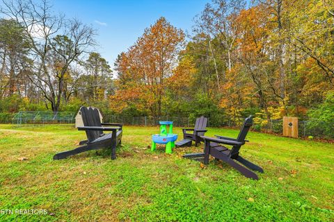 Tiny photo for 6716 Henegar Rd, Corryton, TN 37721 (MLS # 1320975)