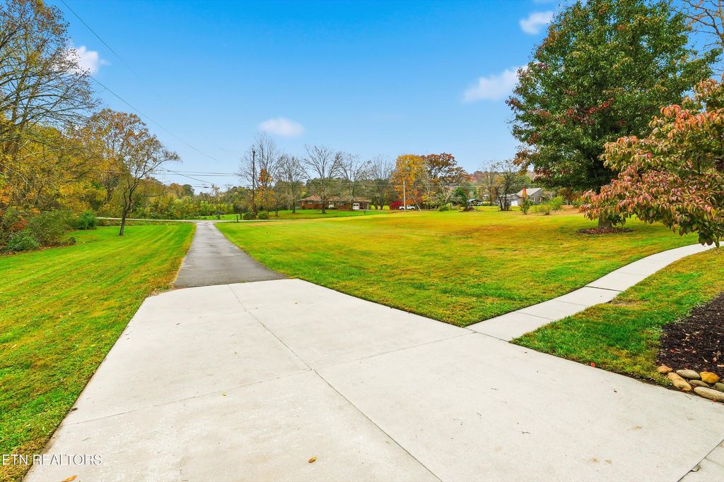 Photo of 6716 Henegar Rd, Corryton, TN 37721 (MLS # 1320975)