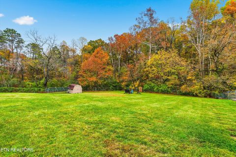 Tiny photo for 6716 Henegar Rd, Corryton, TN 37721 (MLS # 1320975)