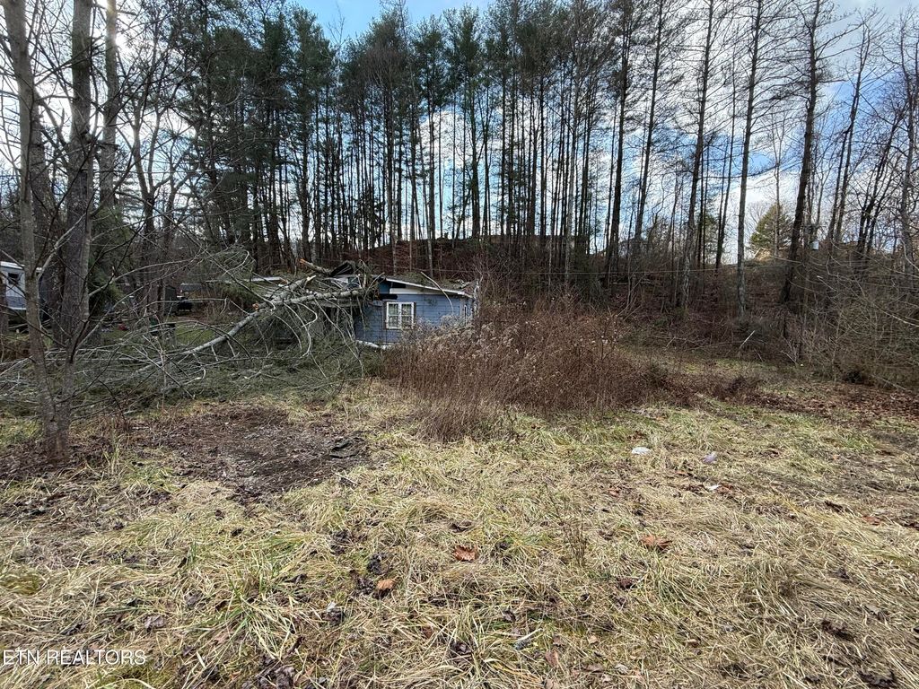 Photo of 2143 Carter St, Big Stone Gap, VA 24219 (MLS # 1325024)
