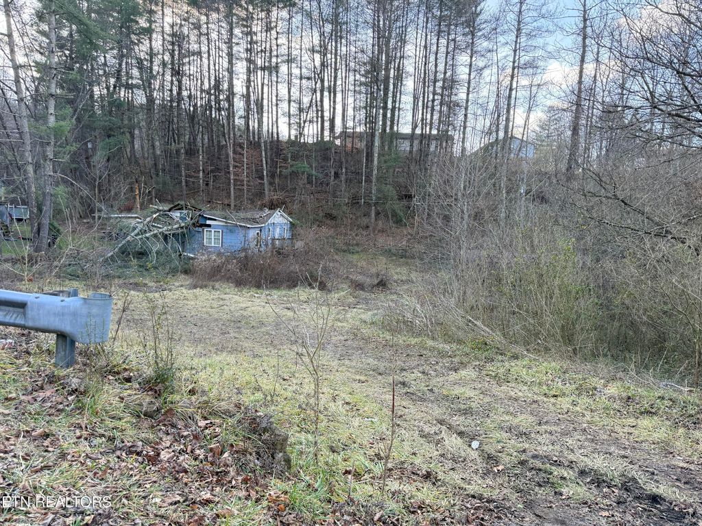 Photo of 2143 Carter St, Big Stone Gap, VA 24219 (MLS # 1325024)