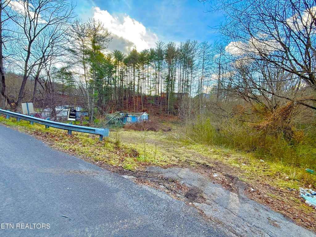 Photo of 2143 Carter St, Big Stone Gap, VA 24219 (MLS # 1325024)
