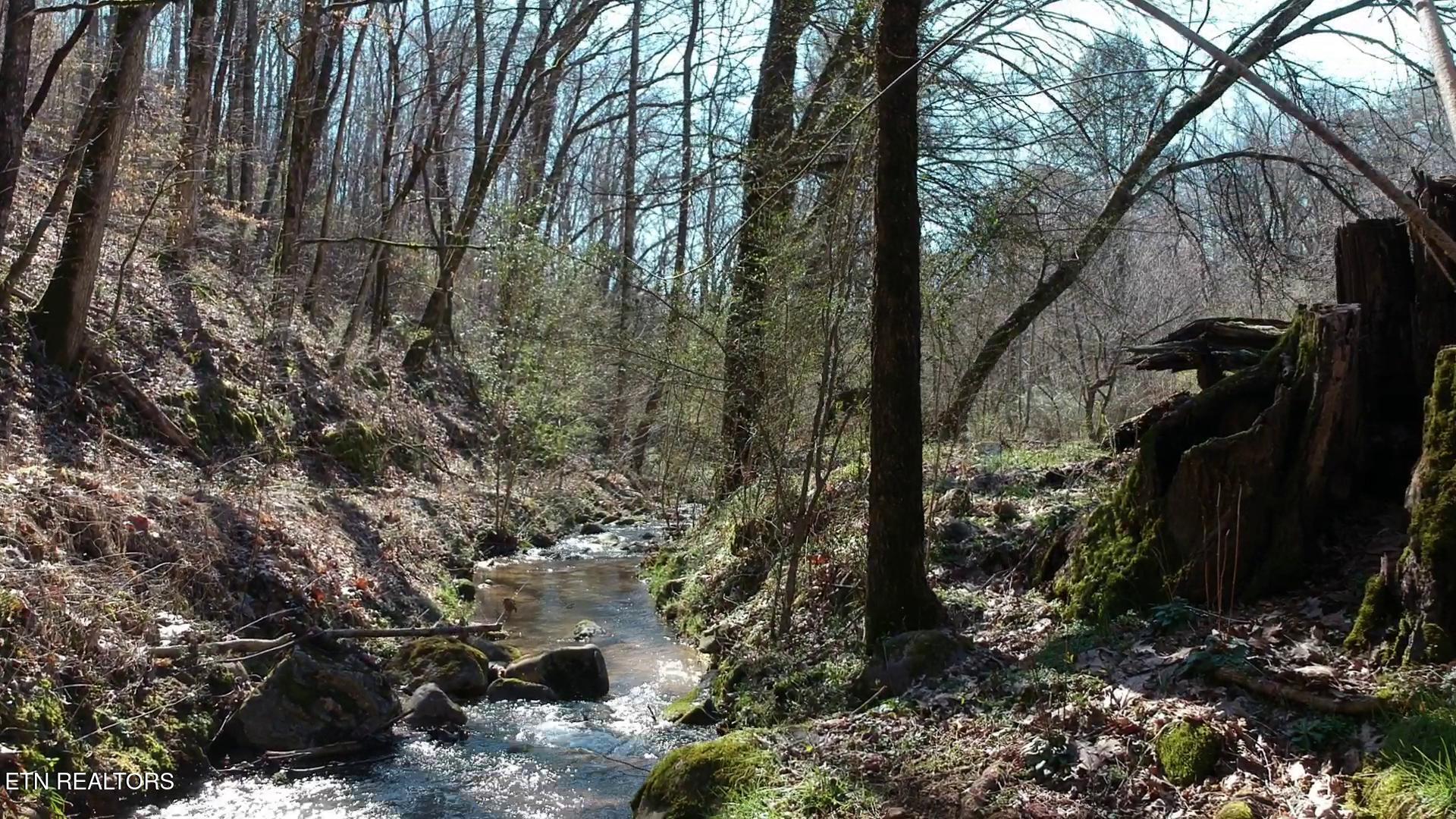 269 Mountain Mist Lane