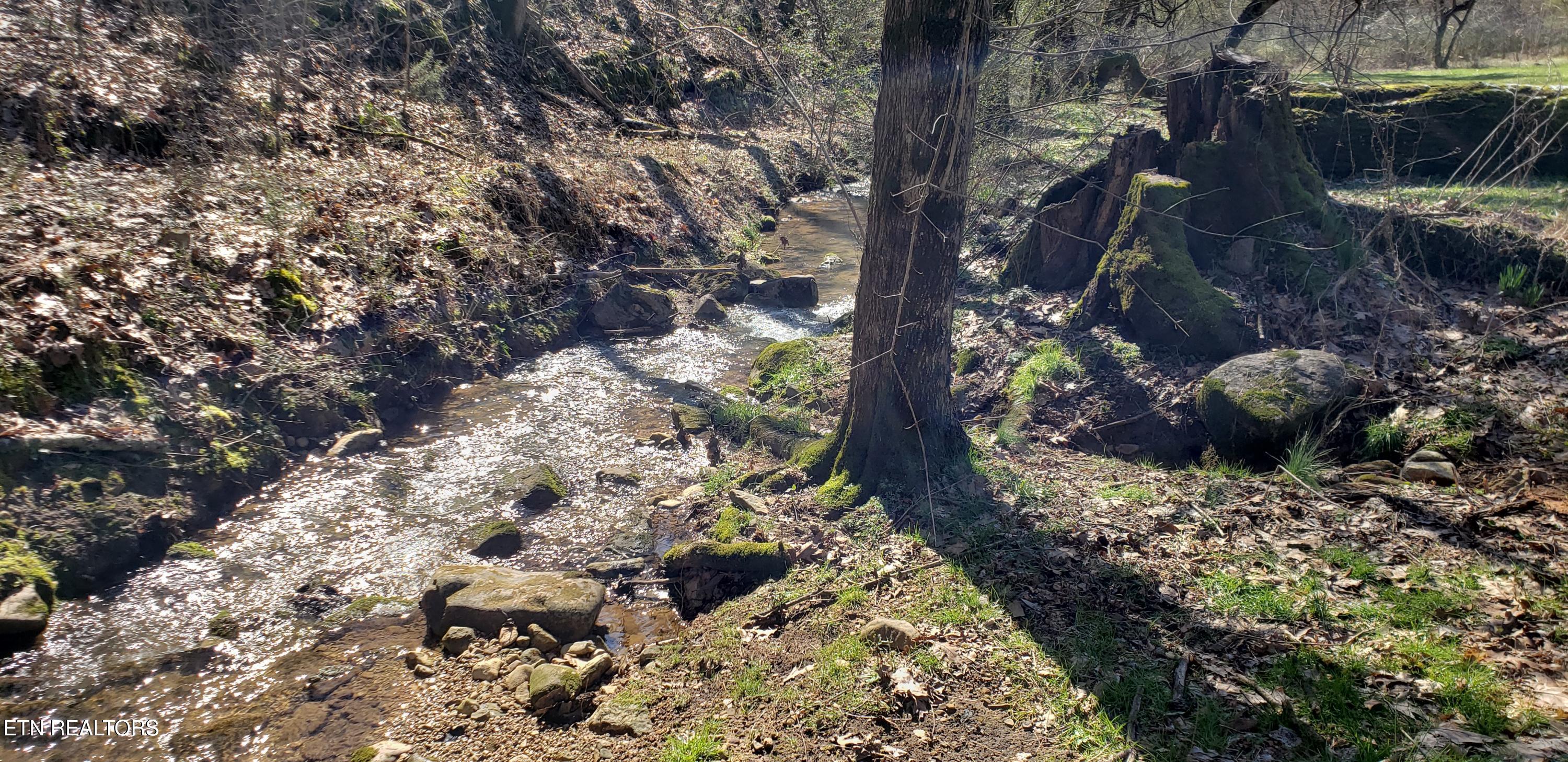 269 Mountain Mist Lane