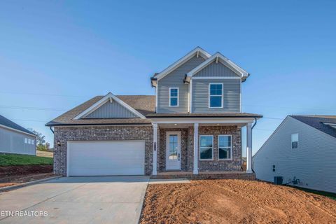 123 Thuja Tree Lane (Lot 50) Lenoir City TN 37771
