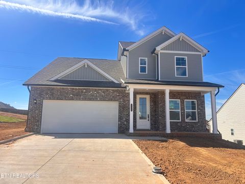 Photo of 123 Thuja Tree Lane (Lot 50), Lenoir City, TN 37771 (MLS # 1319096)