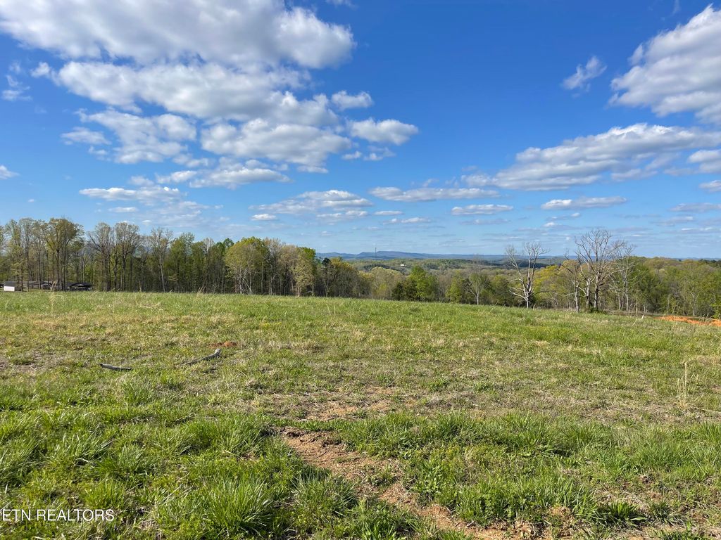 Photo of 7 Laura Boling Loop Rd, Strawberry Plains, TN 37871 (MLS # 1297331)