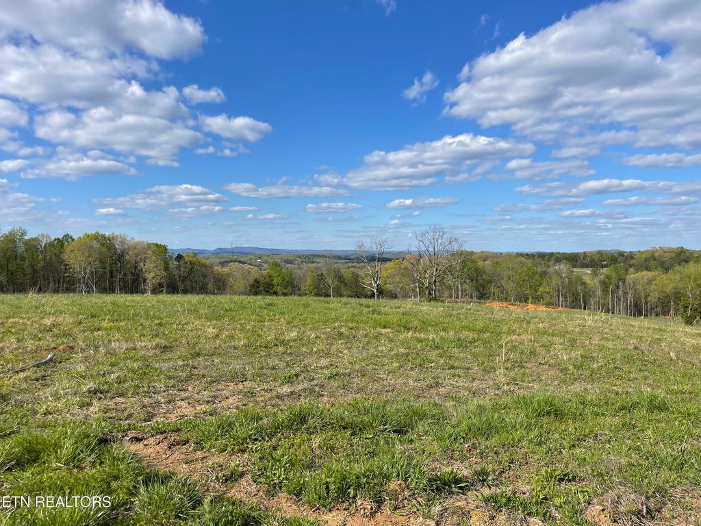Photo of 7 Laura Boling Loop Rd, Strawberry Plains, TN 37871 (MLS # 1297331)